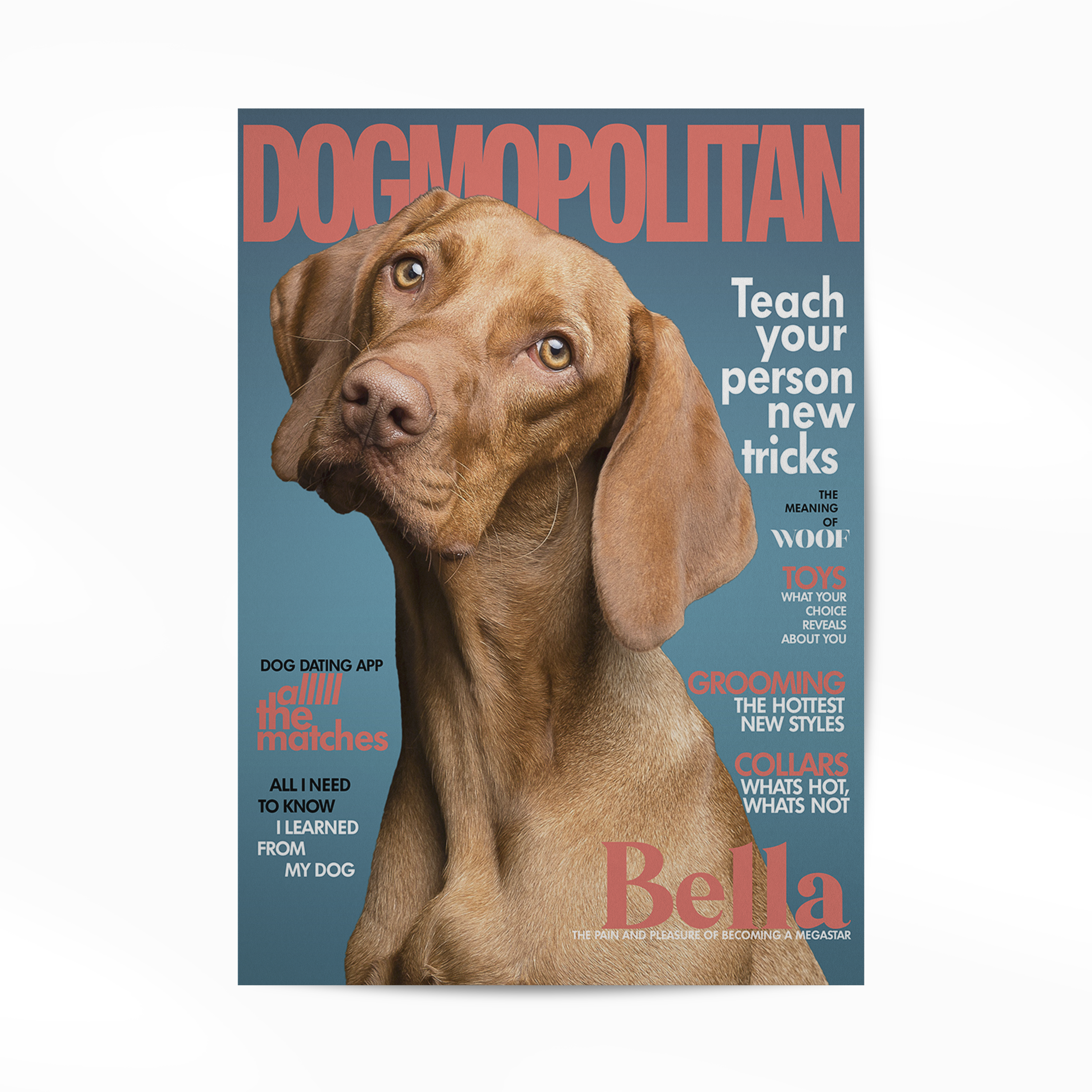 PetMuse | Gepersonaliseerd dierenportret met liefde