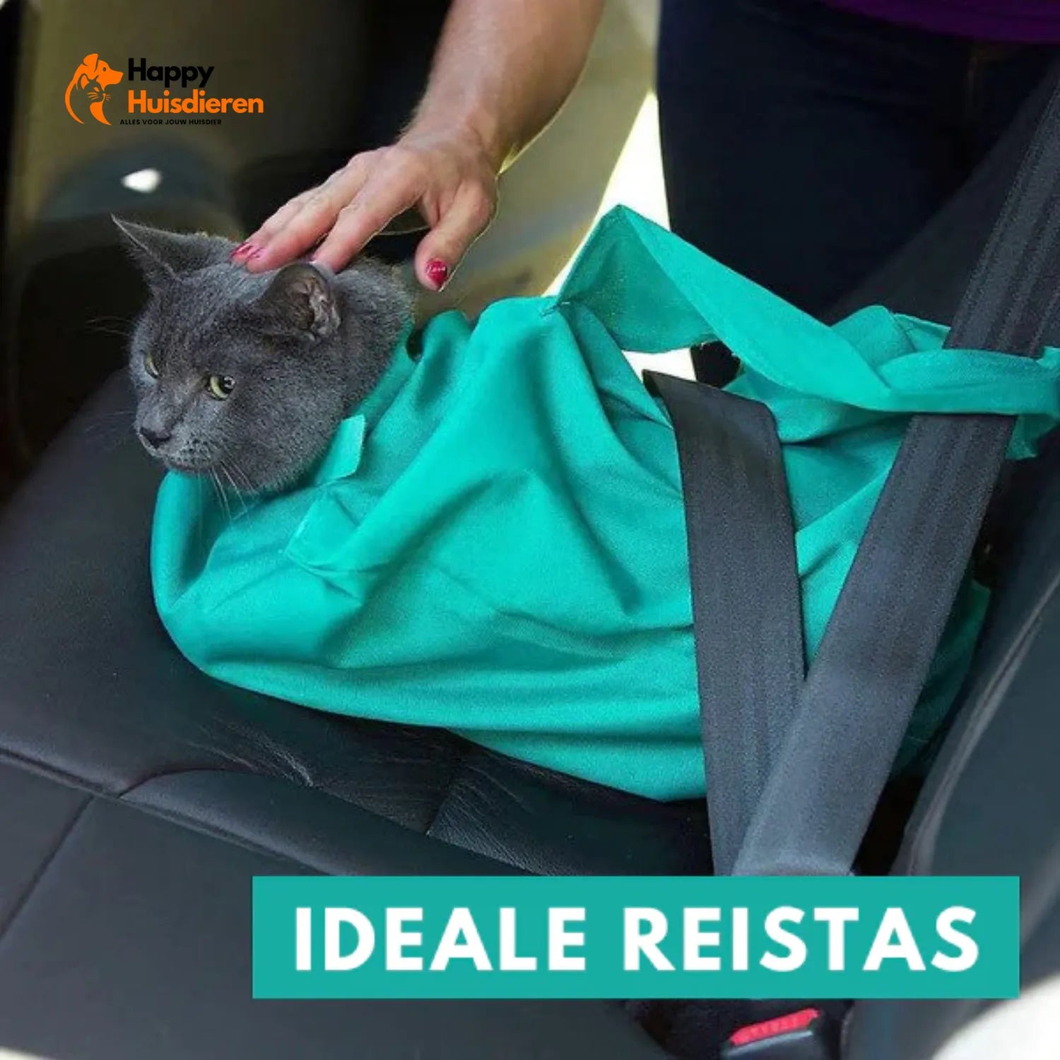 Draagplezier Tas | Comfortabele Reistas voor Katten