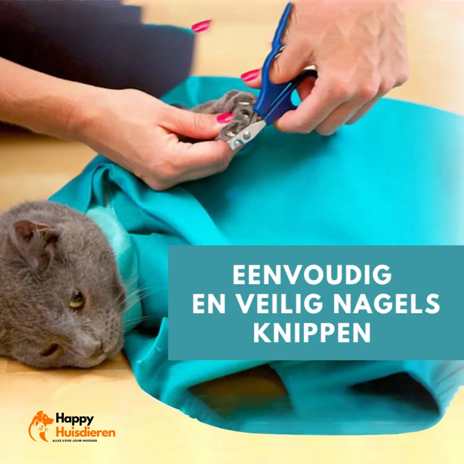 Draagplezier Tas | Comfortabele Reistas voor Katten