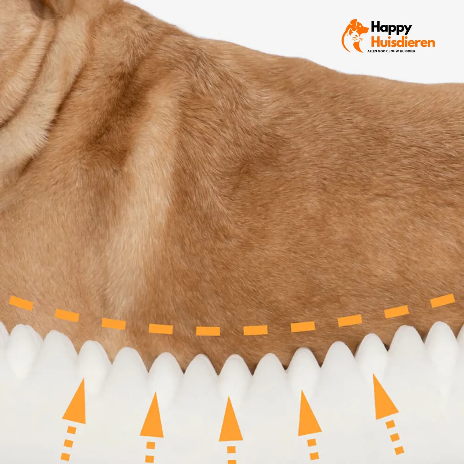 DreamPaws Kussen | Orthopedisch Luxe Hondenbed voor Extra Comfort