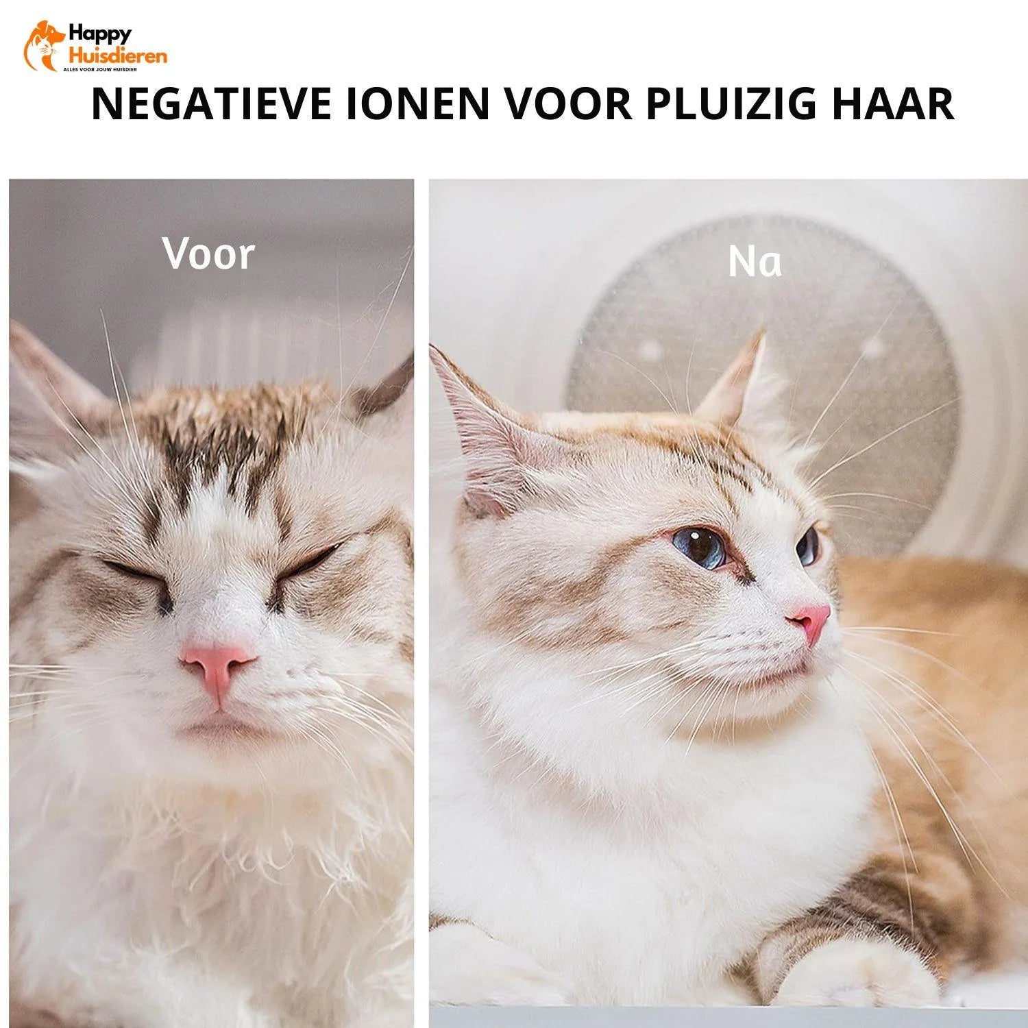 DryHaven | Stille Huisdierendroger met 360° Luchtstroom & Veilig Warmtebeheer