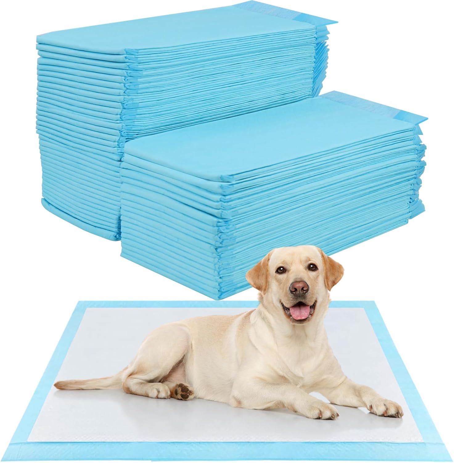 DryPaw Trainingsmat | Absorberende Puppypad met 5-Laags Sneldrogend Systeem