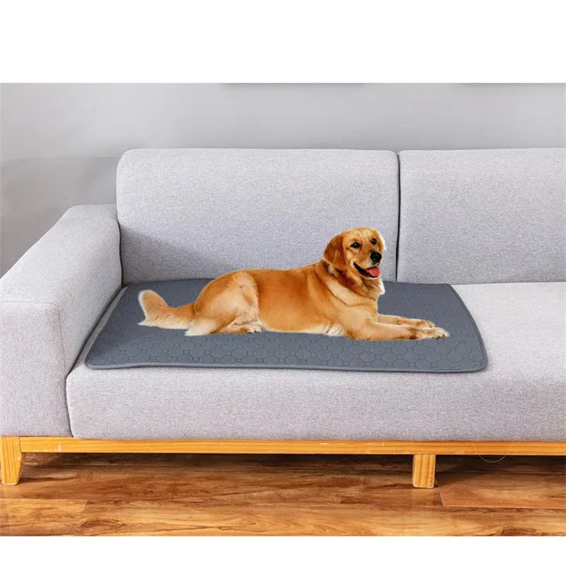 DrySafe Huisdiermat | Waterdichte Antislip Trainingspad voor Honden en Katten