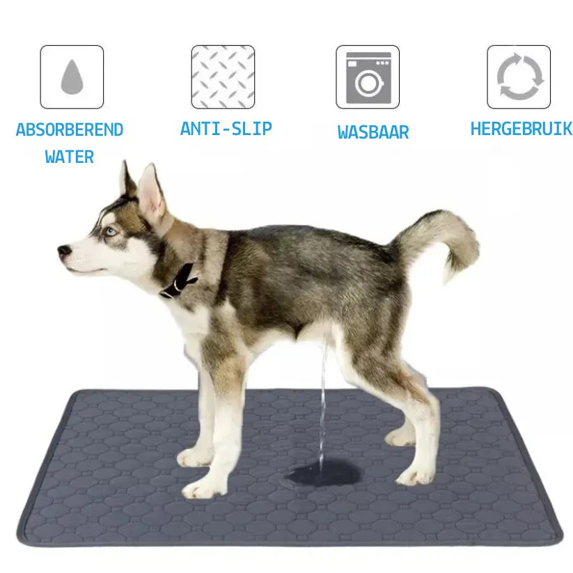 DrySafe Huisdiermat | Waterdichte Antislip Trainingspad voor Honden en Katten