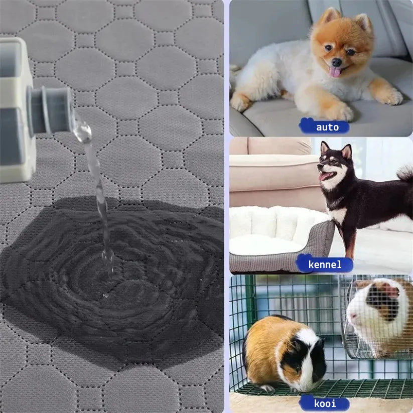 DrySafe Huisdiermat | Waterdichte Antislip Trainingspad voor Honden en Katten