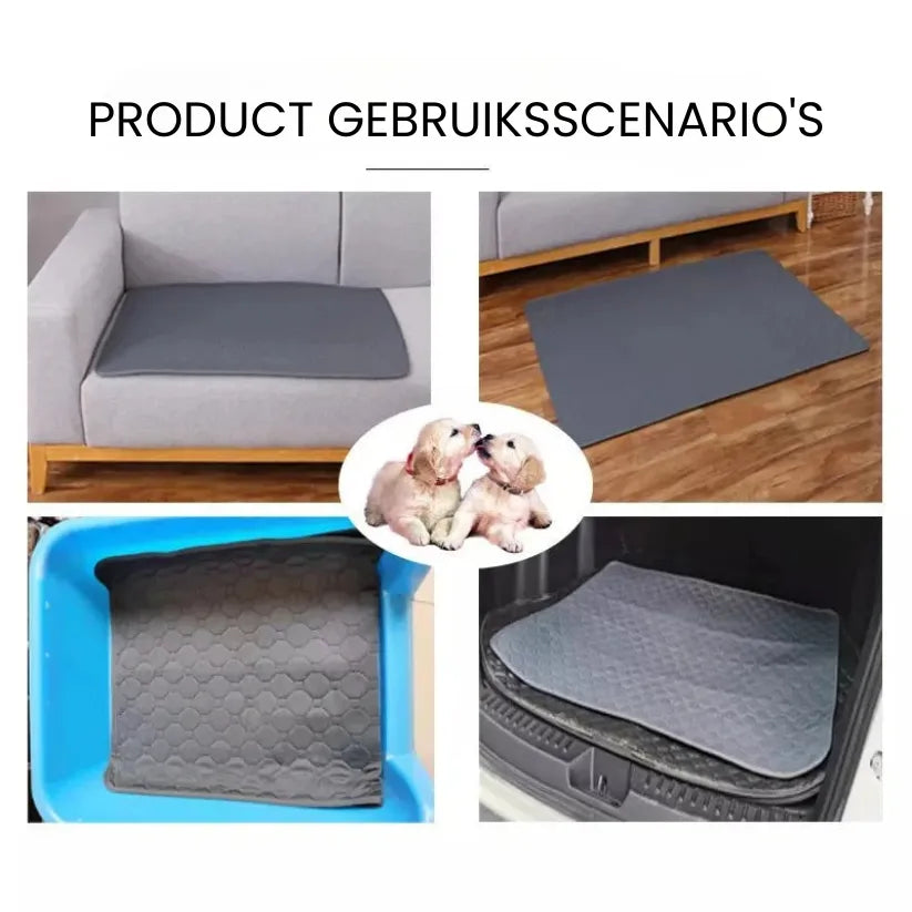 DrySafe Huisdiermat | Waterdichte Antislip Trainingspad voor Honden en Katten
