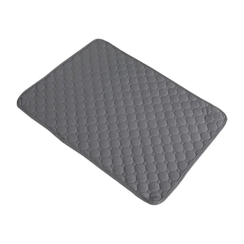 DrySafe Huisdiermat | Waterdichte Antislip Trainingspad voor Honden en Katten