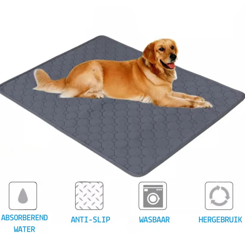 DrySafe Huisdiermat | Waterdichte Antislip Trainingspad voor Honden en Katten
