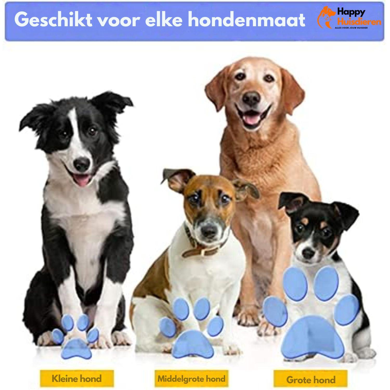 WalkEase Duo | Multifunctionele Hondenriem met Drink- en Voerfunctie