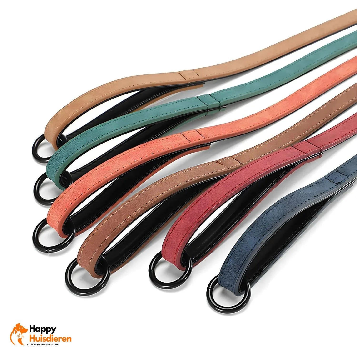 Elegant Walk Set | Stijlvolle Retro Halsband en Lijn voor Honden