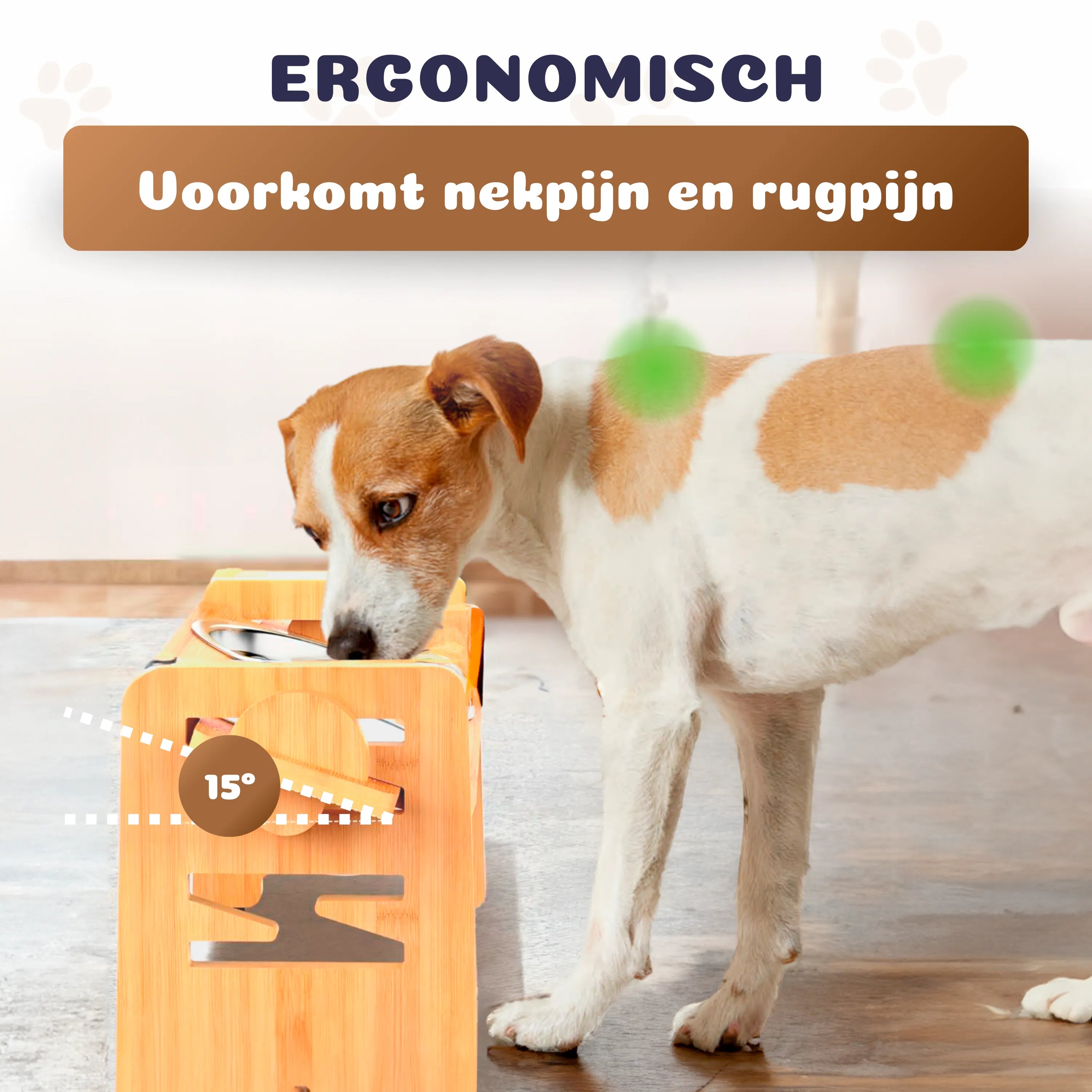ElevateFeed Stand | Verstelbare Ergonomische voerbak hond & kat, RVS