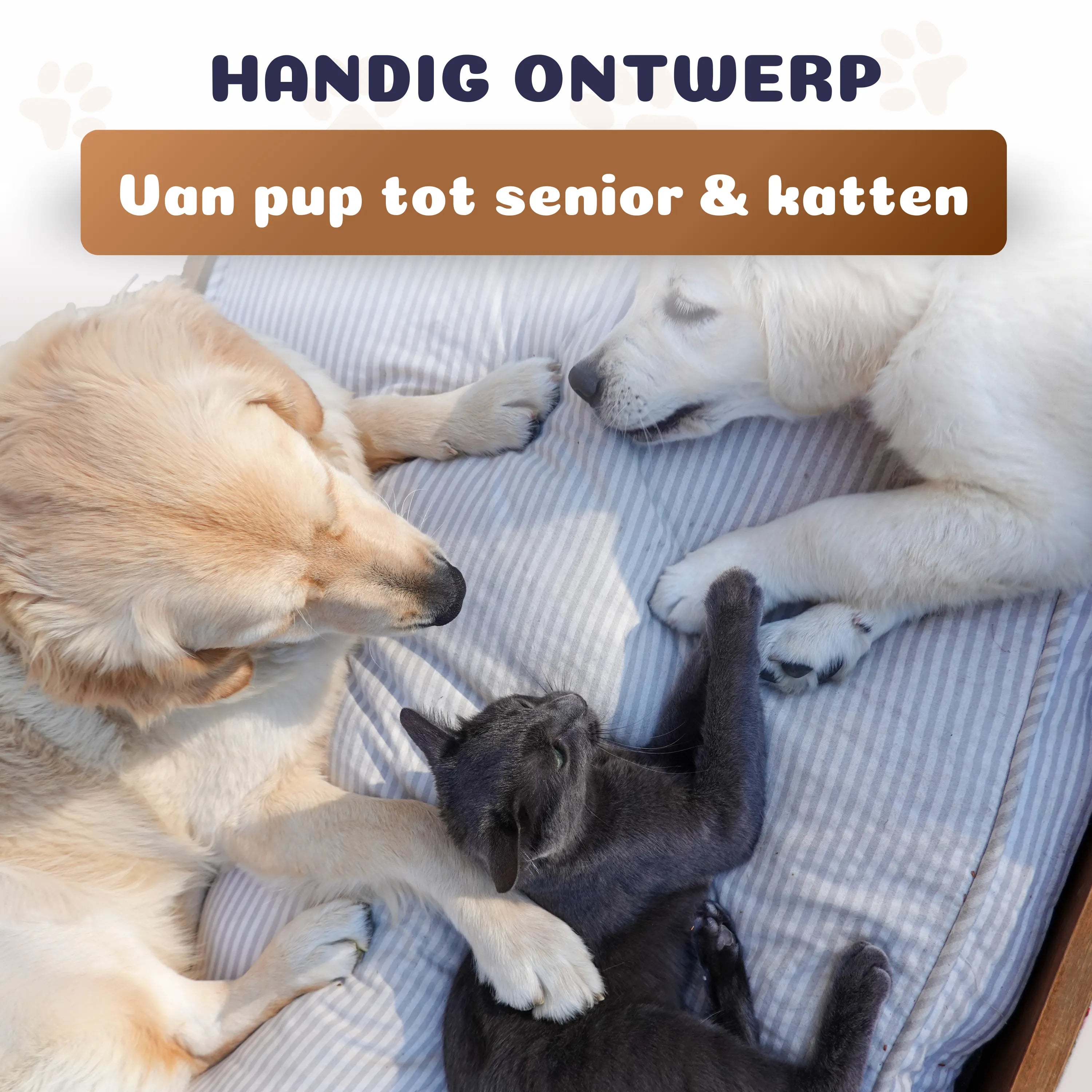 ElevateFeed Stand | Verstelbare Ergonomische voerbak hond & kat, RVS