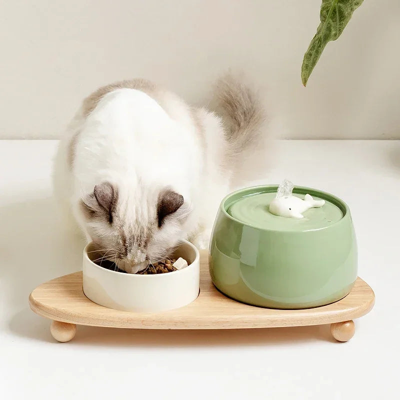 Felina | Stijlvolle katten fontein met stromend water voor dagelijkse hydratatie