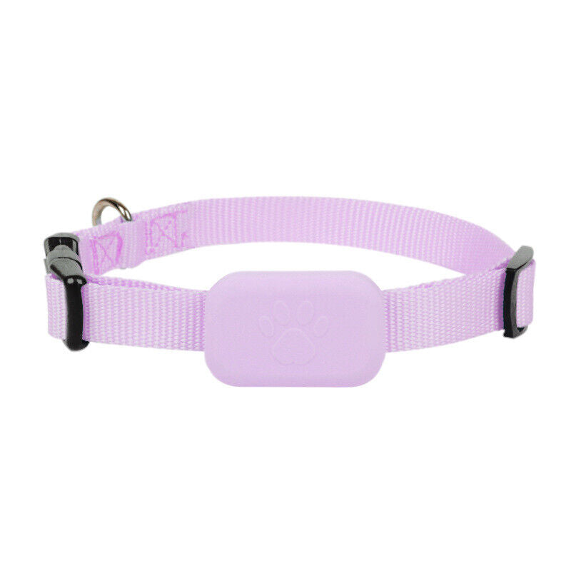 FindMy PetTag | GPS tracker iOS huisdier realtime & compact