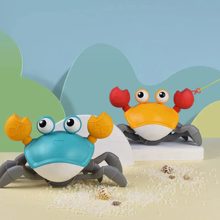 Floris | Interactief krab hondenspeelgoed