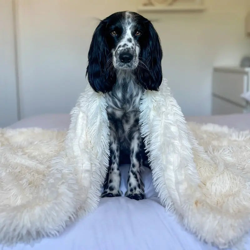 FluffyPaw Blanket | Fluffy huisdierdeken warm & machinewasbaar