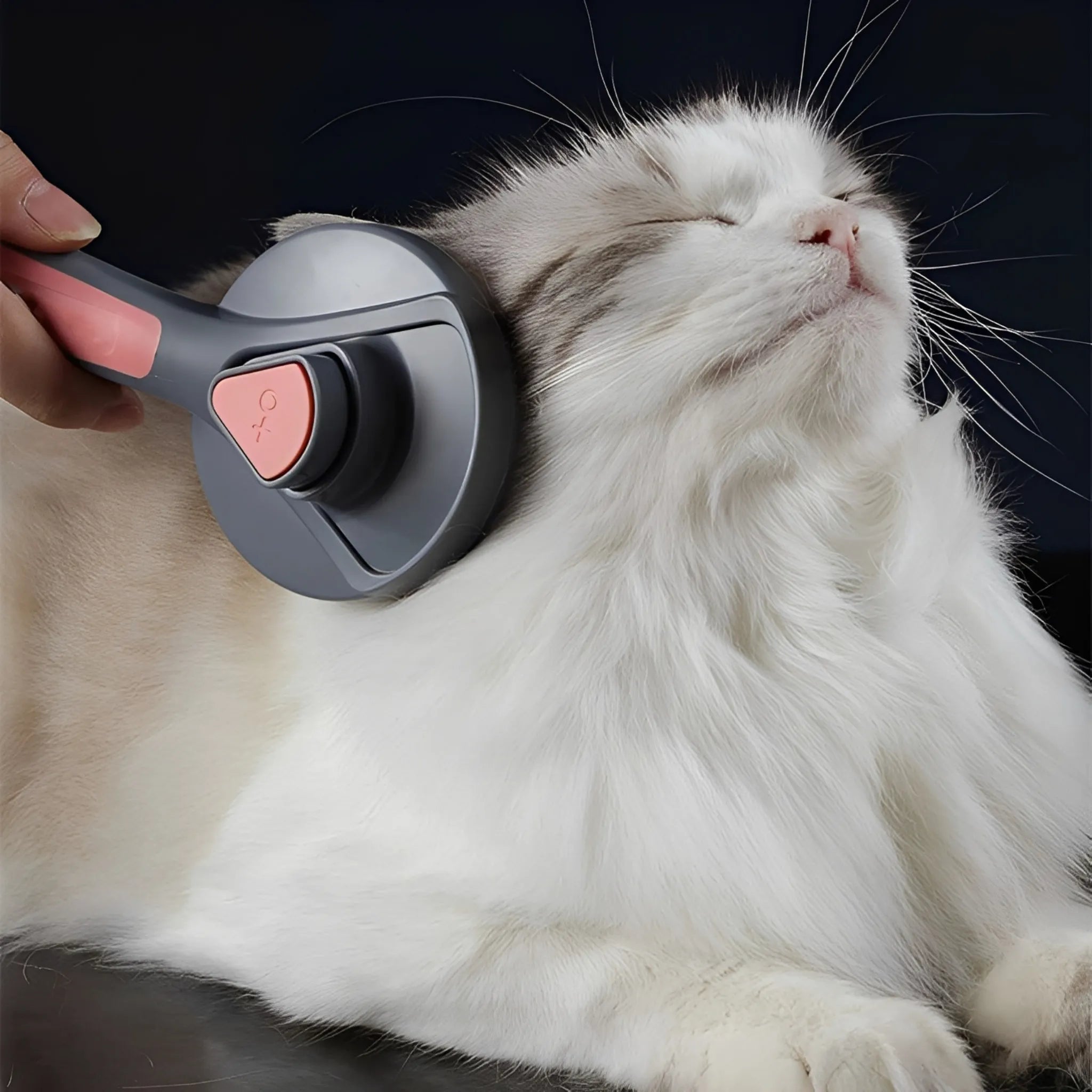 FluffyVerwenner | Efficiënte Haarverwijderingsborstel voor Katten