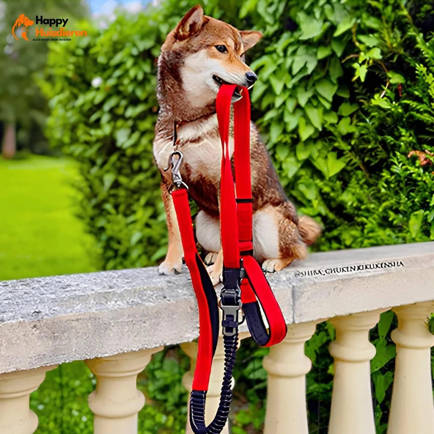 FreedomWalk Lead | Multifunctionele Handsfree Riem met Autogordelbevestiging