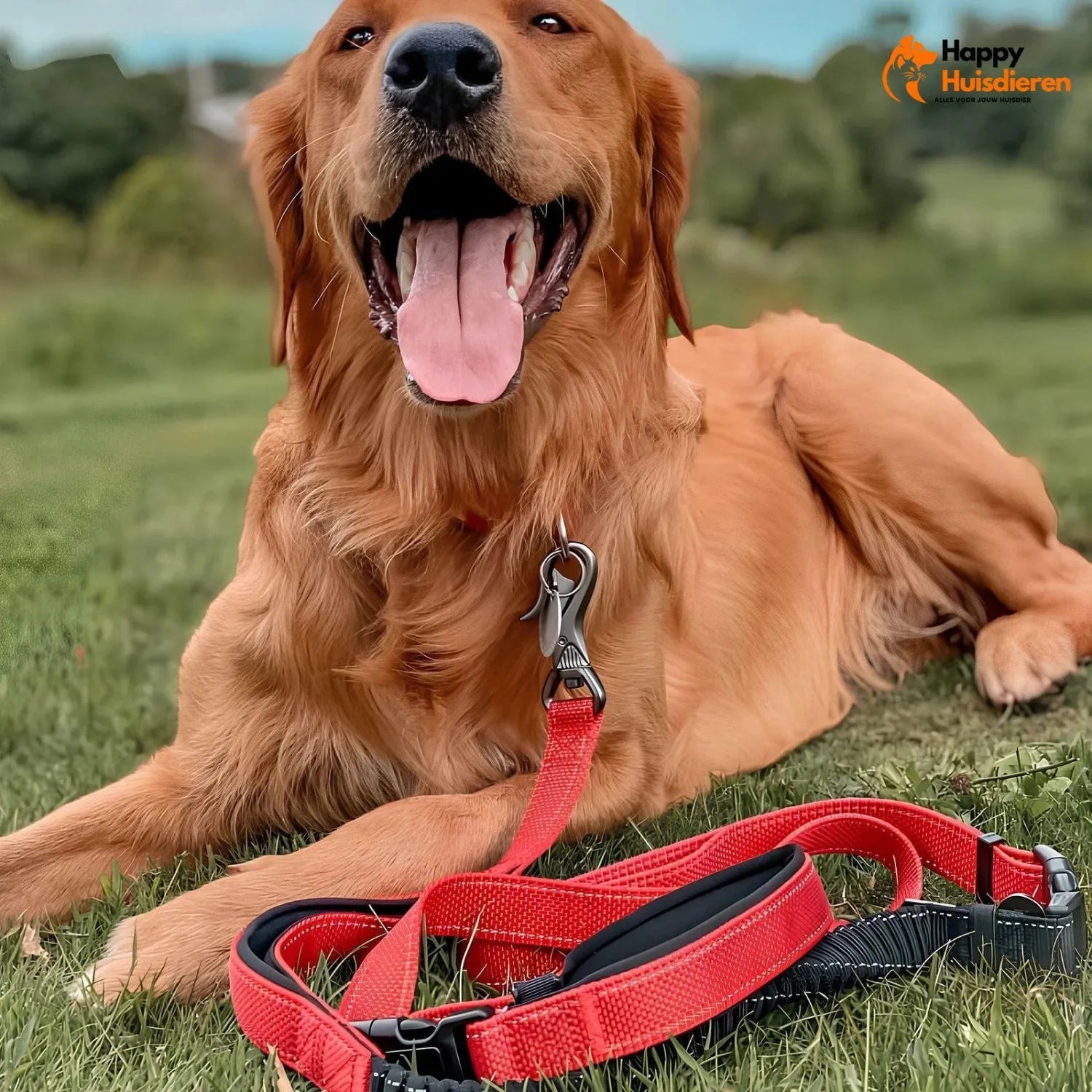 FreedomWalk Lead | Multifunctionele Handsfree Riem met Autogordelbevestiging