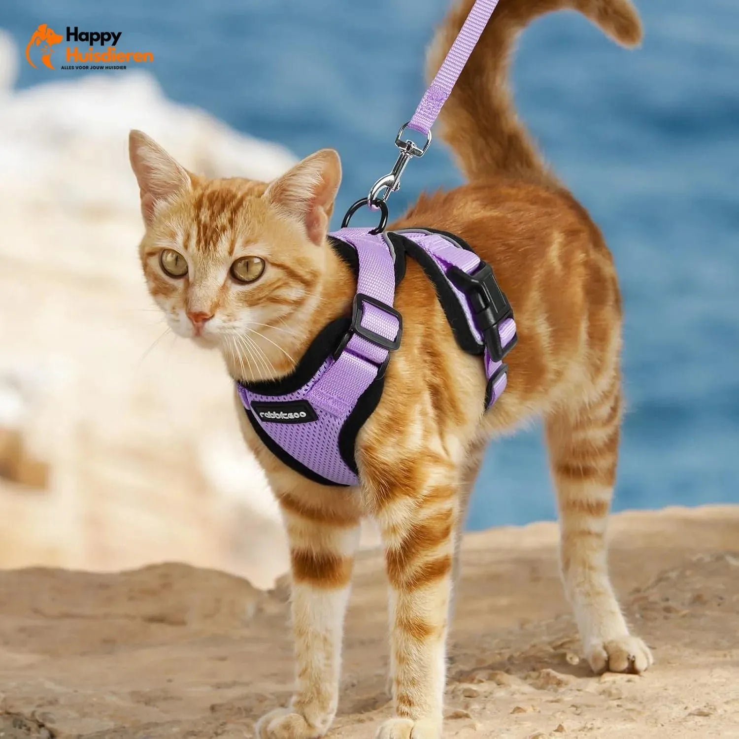 FurSecure Set | Reflecterend Pet Harnas en Leash voor Controle