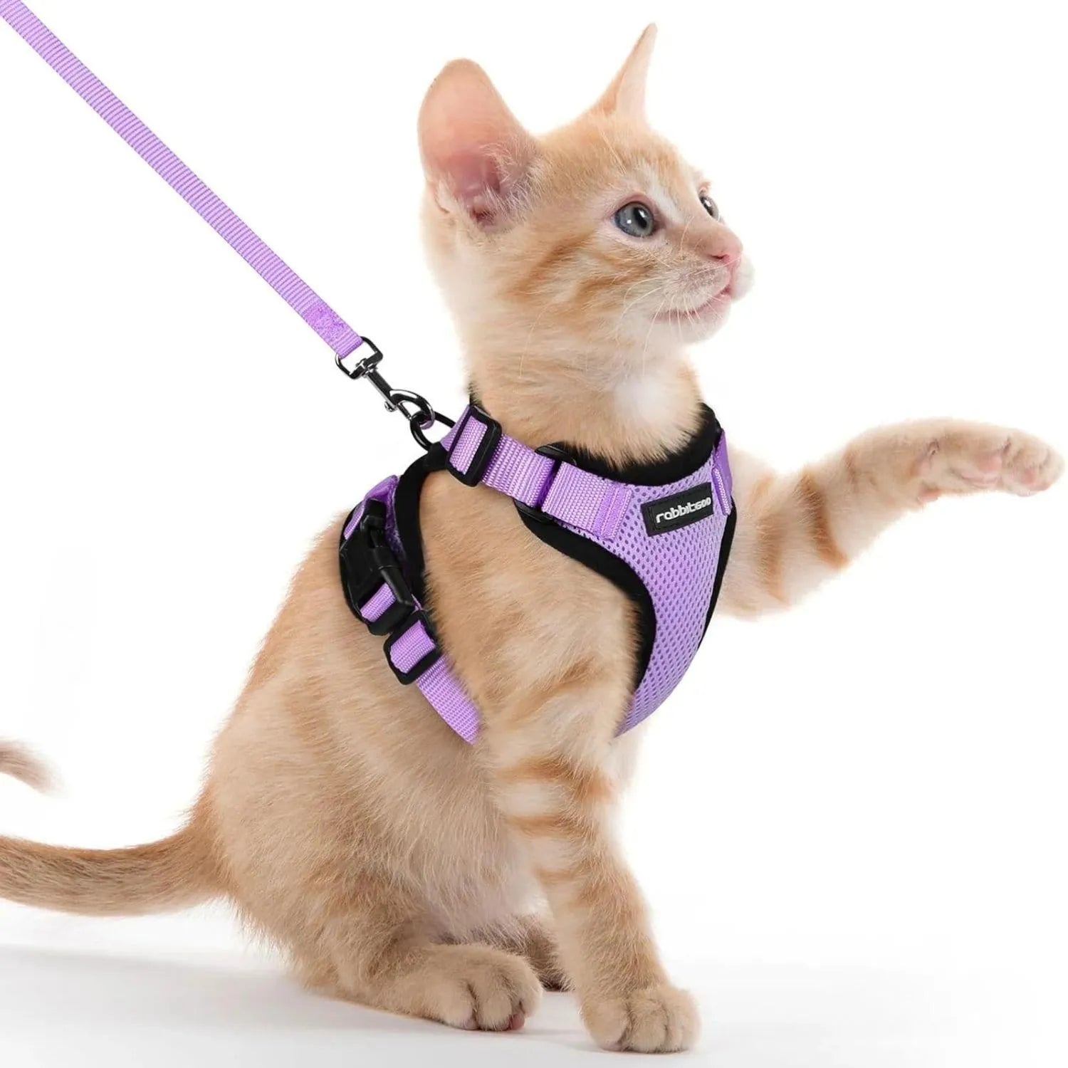 FurSecure Set | Reflecterend Pet Harnas en Leash voor Controle