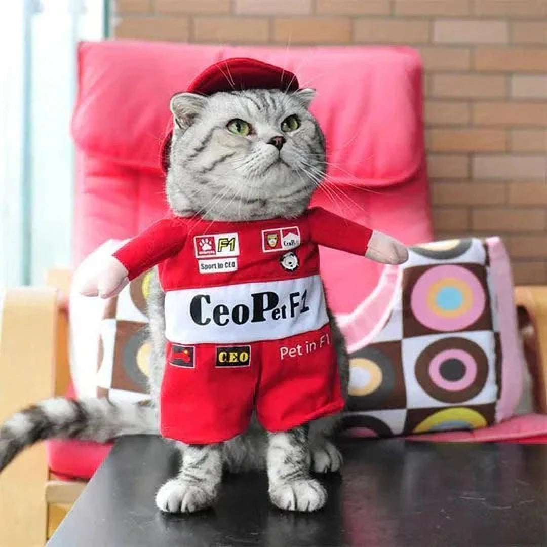 Furry Fun Kostuums | Dierenvermommingen voor Grappig Verkleedplezier