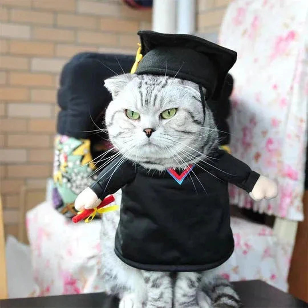 Furry Fun Kostuums | Dierenvermommingen voor Grappig Verkleedplezier