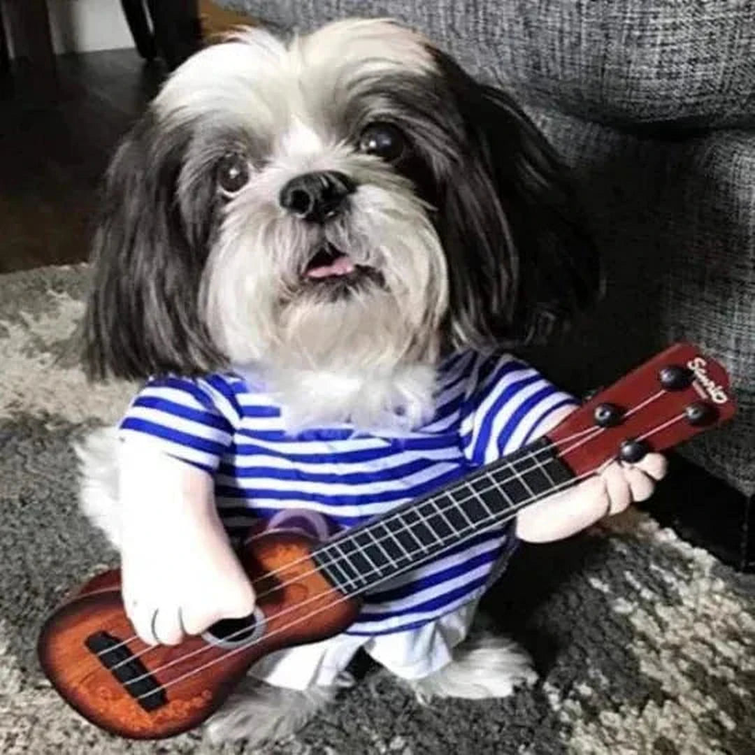 Furry Fun Kostuums | Dierenvermommingen voor Grappig Verkleedplezier