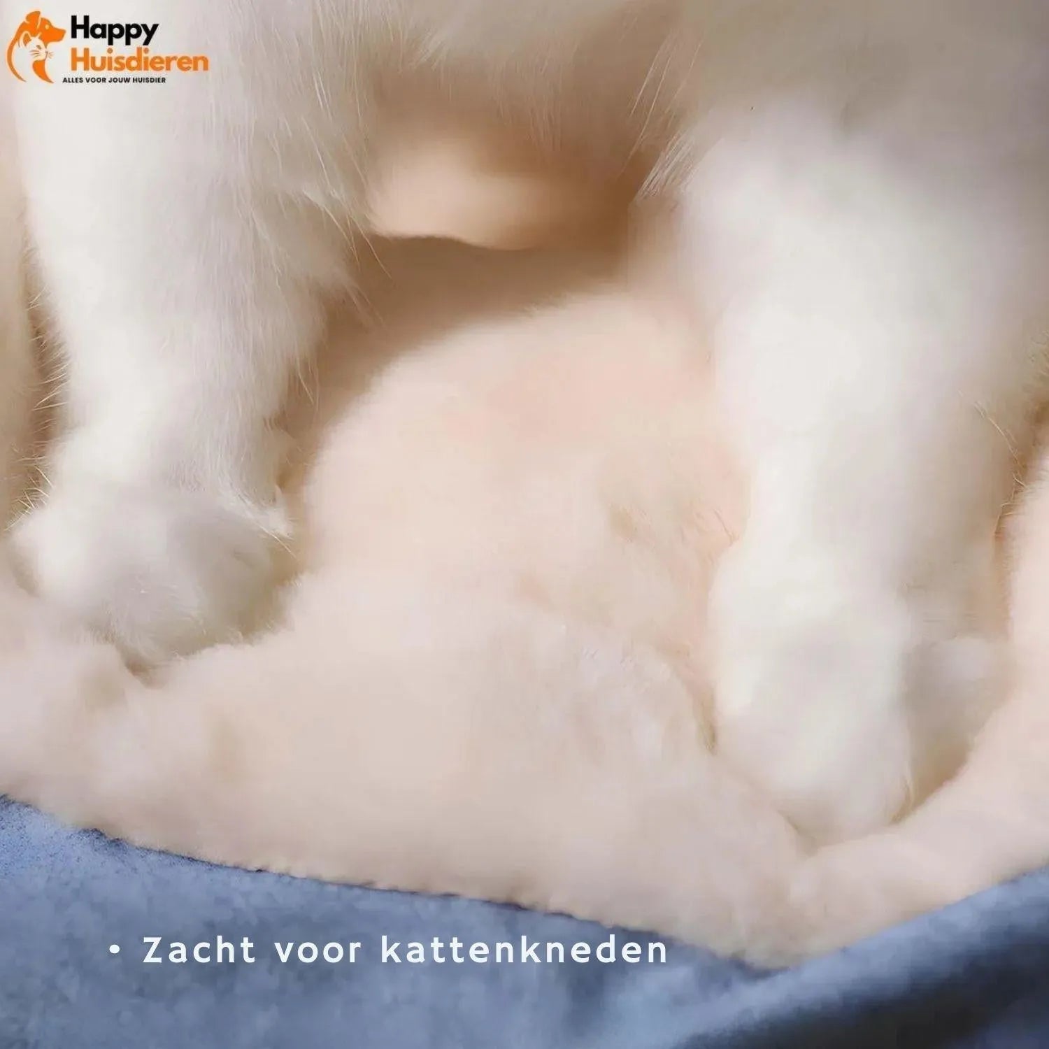 GlowTrail Set | Comfortabel Verstelbaar Hondentuig met Reflectie en Lijn