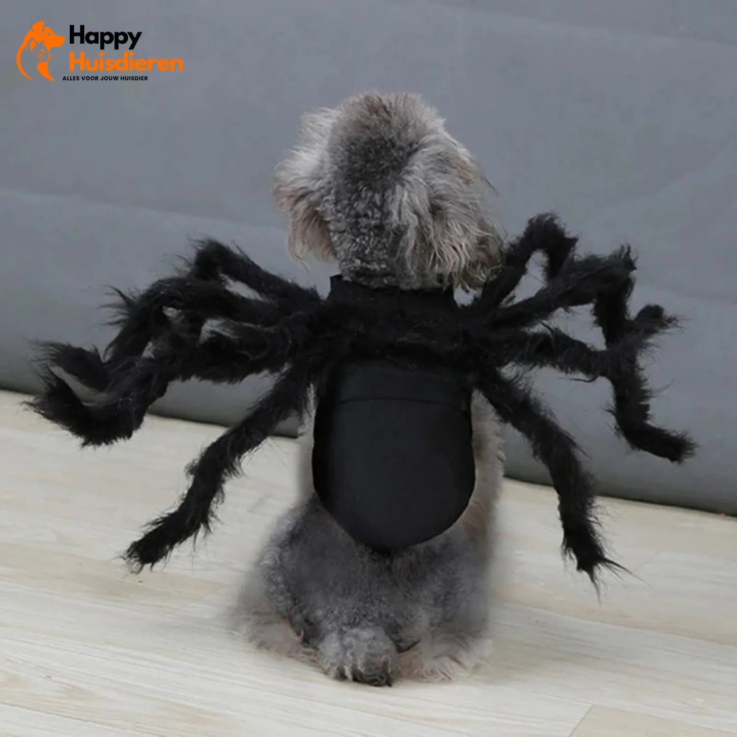 Grapjesgriezel Outfit | Halloween Kostuum voor Katten & Kleine Honden