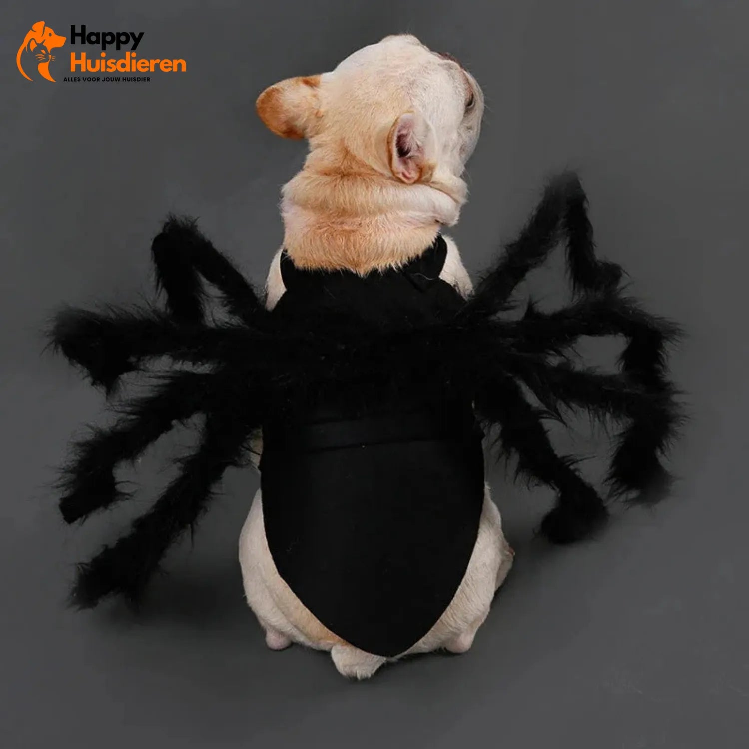 Grapjesgriezel Outfit | Halloween Kostuum voor Katten & Kleine Honden