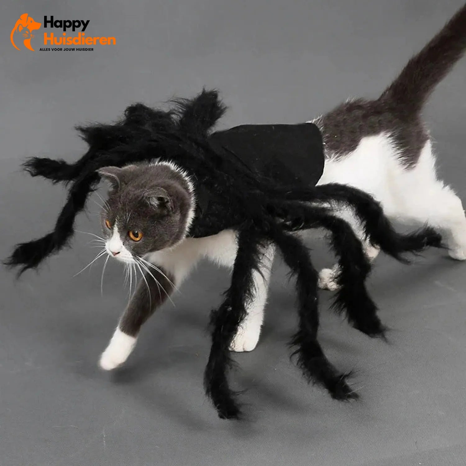 Grapjesgriezel Outfit | Halloween Kostuum voor Katten & Kleine Honden