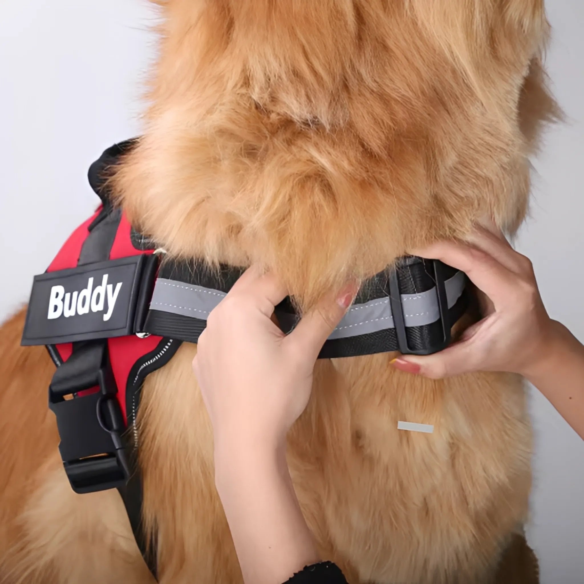 Guardian – Anti-Trek Gepersonaliseerd Hondentuig met Naamgravure en Telefoonnummer | Comfortabel & Veilig