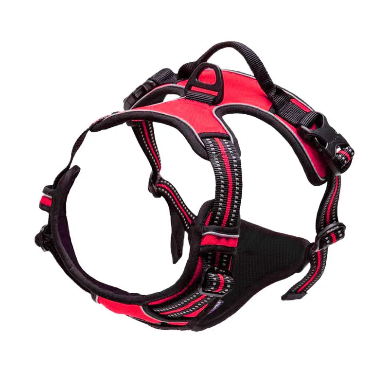FlexHarness | Comfortabel en verstelbaar hondentuigje voor dagelijkse wandelingen