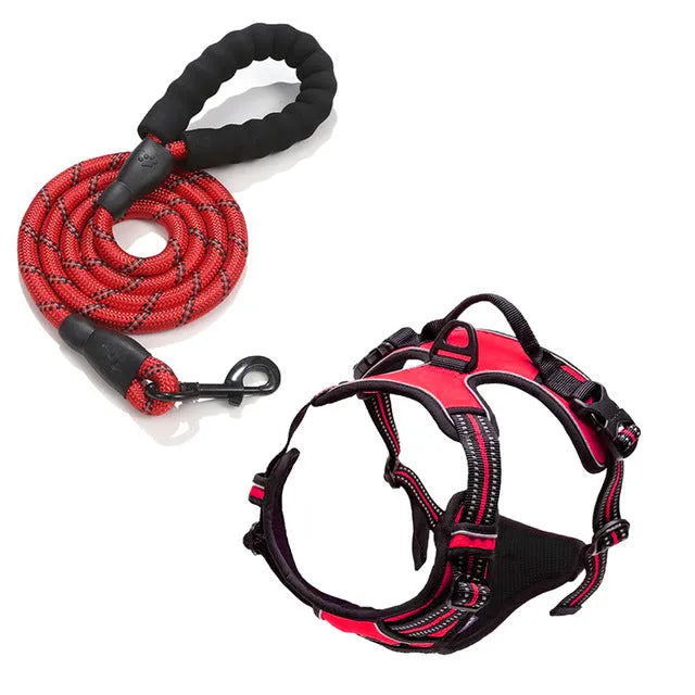 FlexHarness | Comfortabel en verstelbaar hondentuigje voor dagelijkse wandelingen