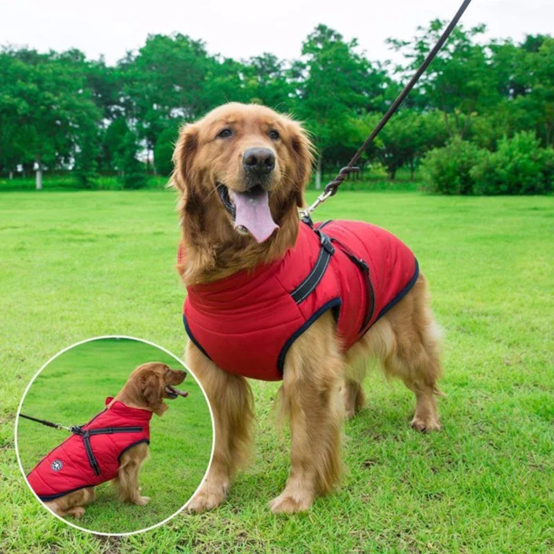 FurShield | Waterdichte winterjas voor honden met hoge zichtbaarheid