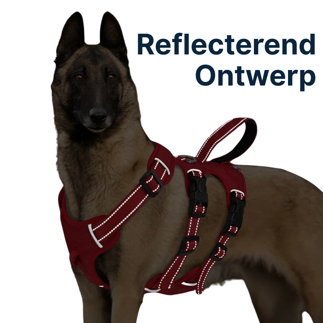 GripPro | Krachtig tuig voor sterke honden met 3 bevestigingspunten