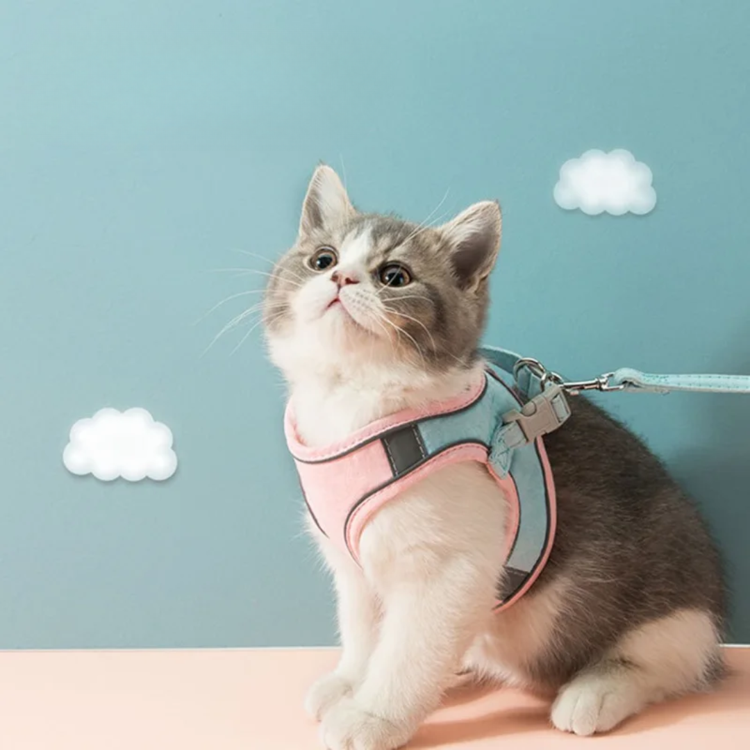 FelineFlex | Comfortabel en Veilig Kattenharnas