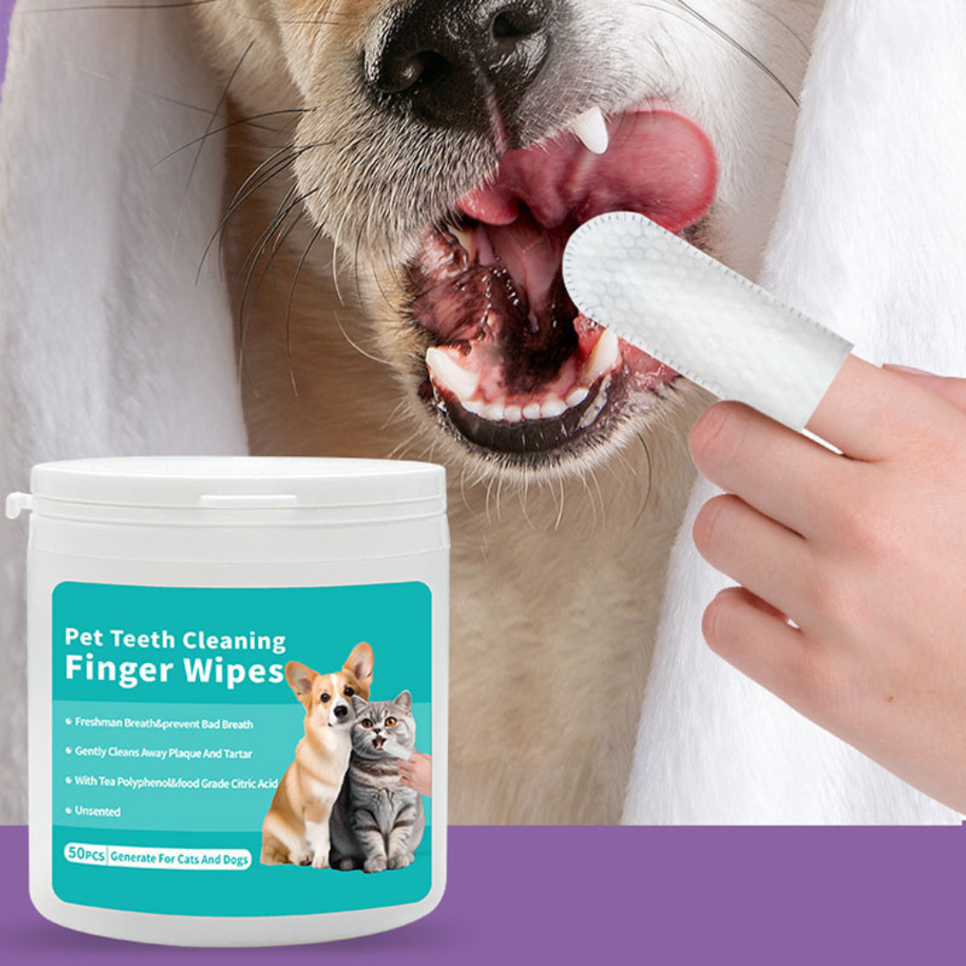 MintyClean | Natuurlijke dental wipes voor frisse adem en gezond gebit