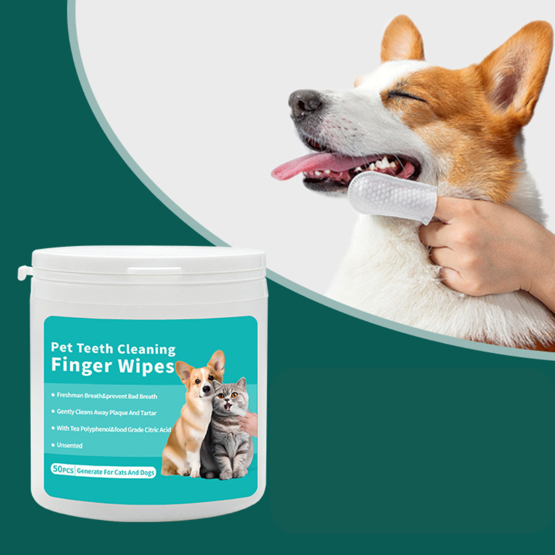 MintyClean | Natuurlijke dental wipes voor frisse adem en gezond gebit