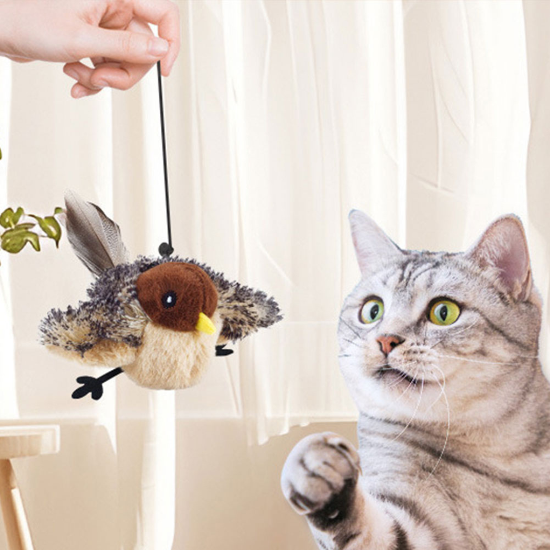 ChaseWhirl | De interactieve jacht spel voor actieve katten