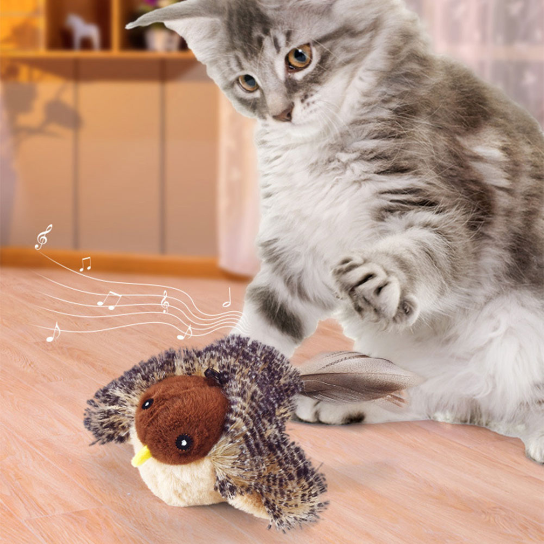 ChaseWhirl | De interactieve jacht spel voor actieve katten