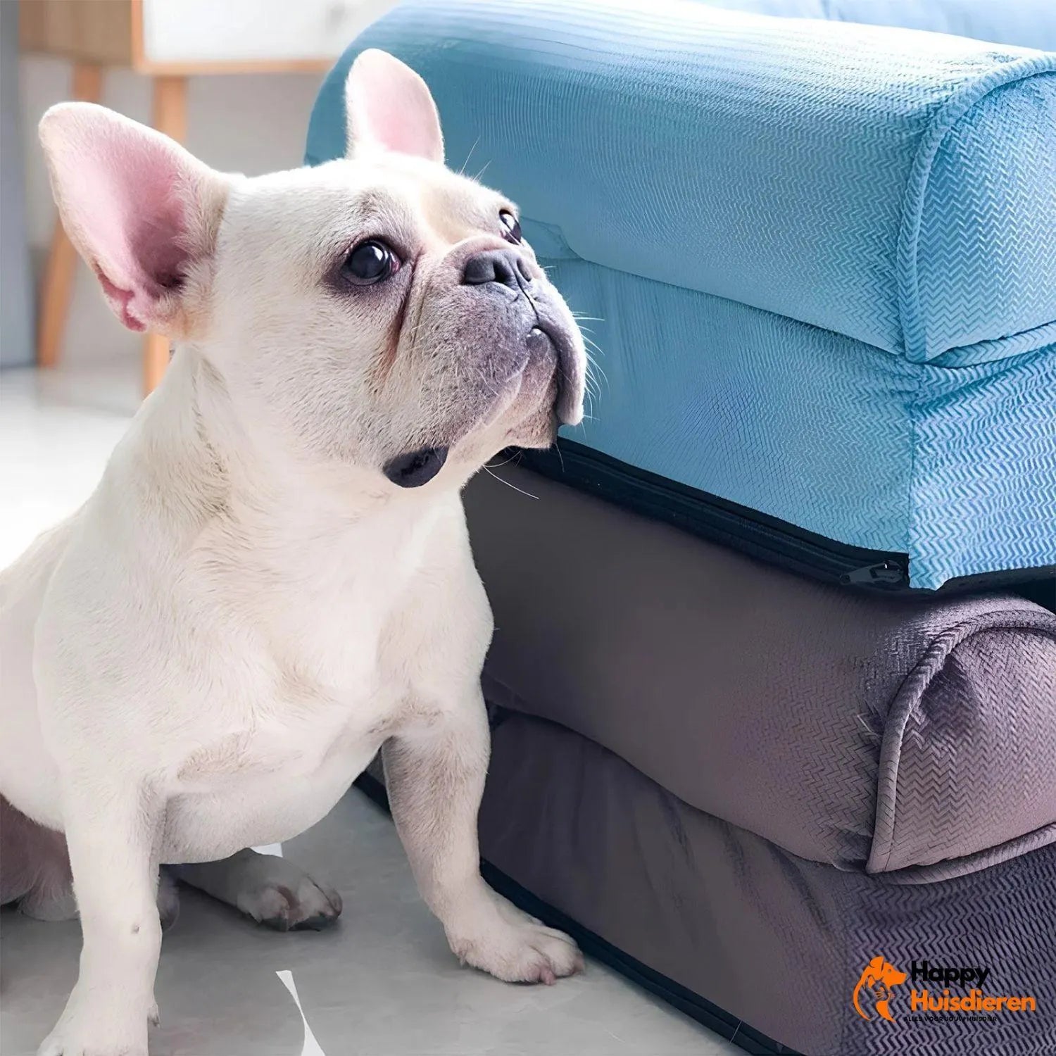 Honden LoungeHoek | Afneembare Vierkante Hondenbank voor Ultiem Comfort