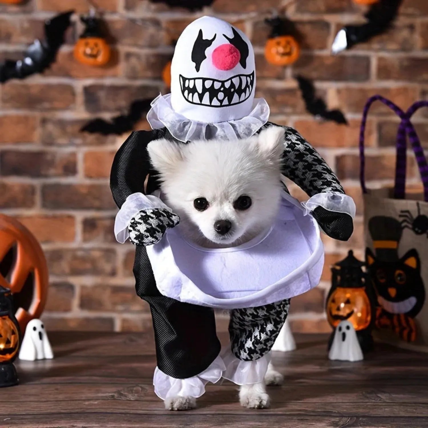 HondenHalloween Pretpak | Grappig en Spooky Kostuum voor Middelgrote Honden