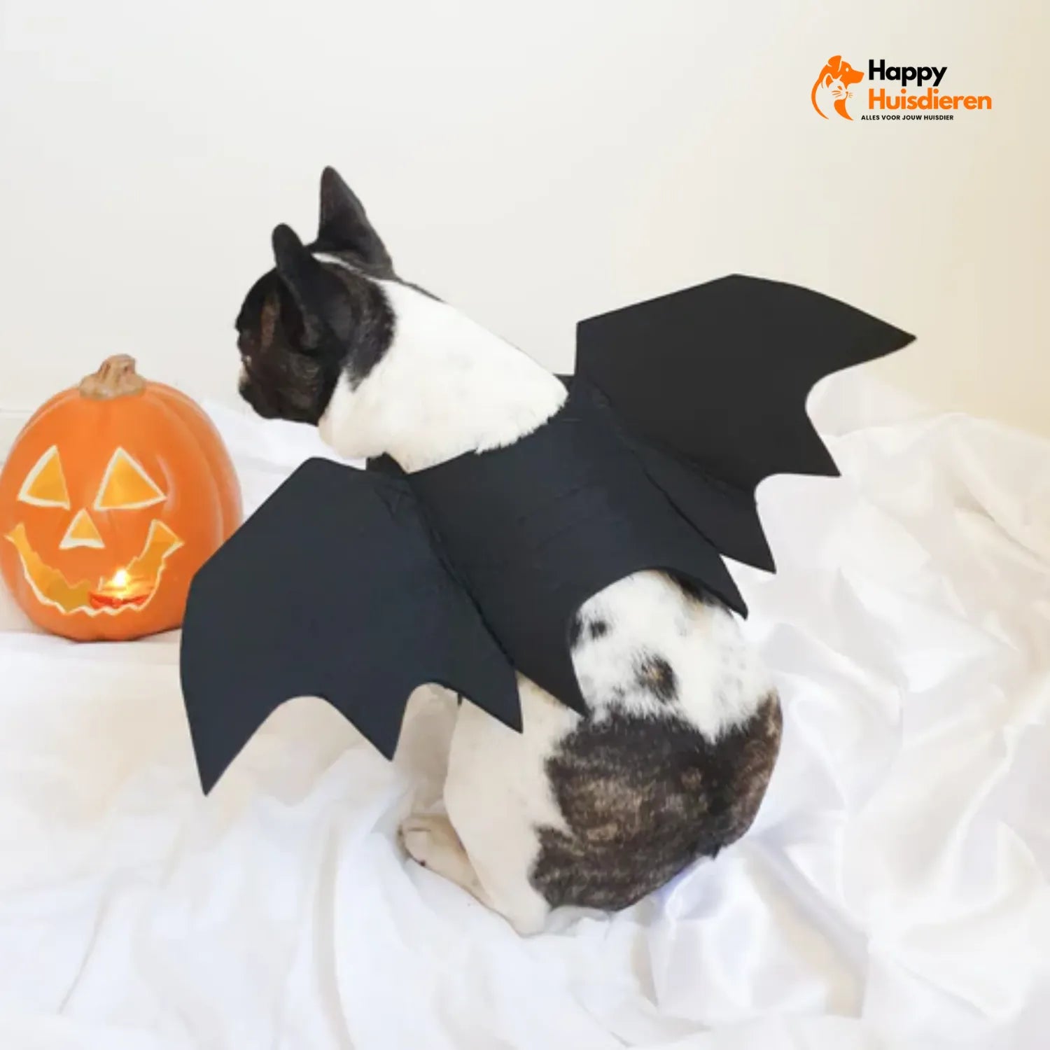 HondenSpook Pret | Lichtgewicht Vilten Kostuum voor Halloween
