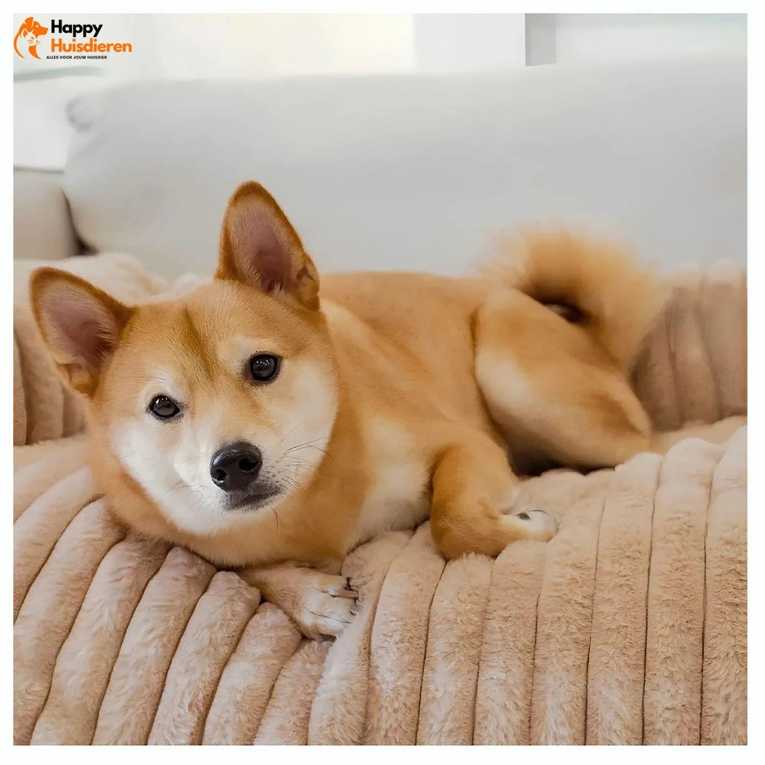 Hondenknuffel Plaid | Fluweelzachte Sofa Bescherming en Comfort