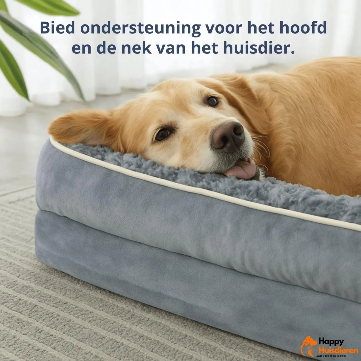 Hondenslaap Droom Nest | Orthopedisch Bed voor Comfort en Ondersteuning