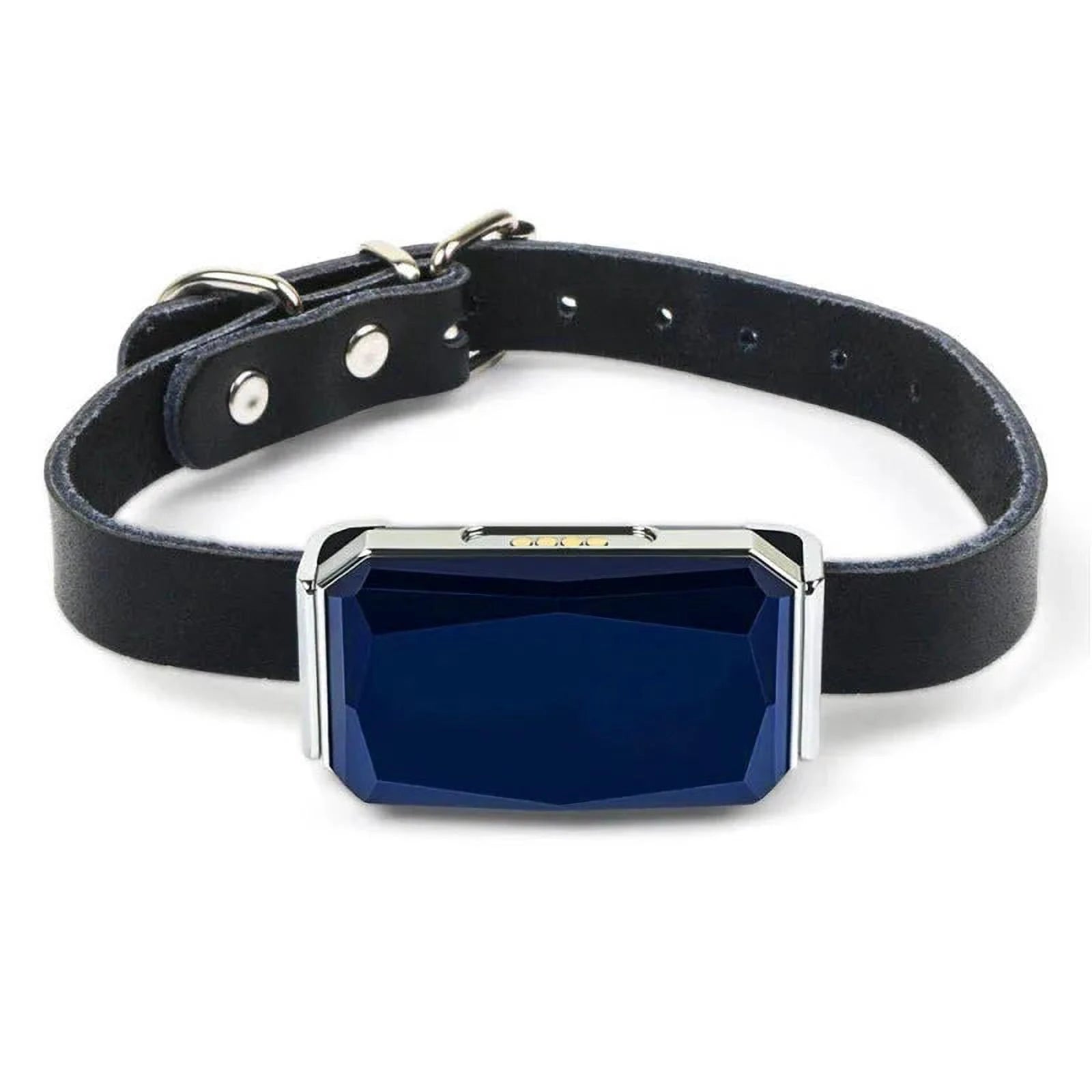 Hondenvinder | Oplaadbare GPS-halsband voor huisdieren