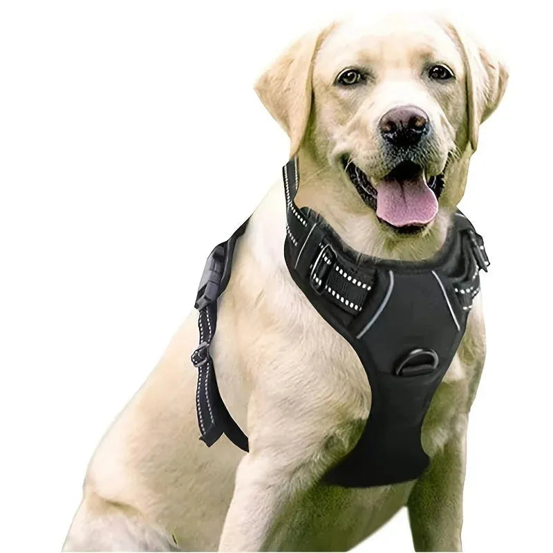 Hugo | Hondentuig voor gecontroleerde wandelingen
