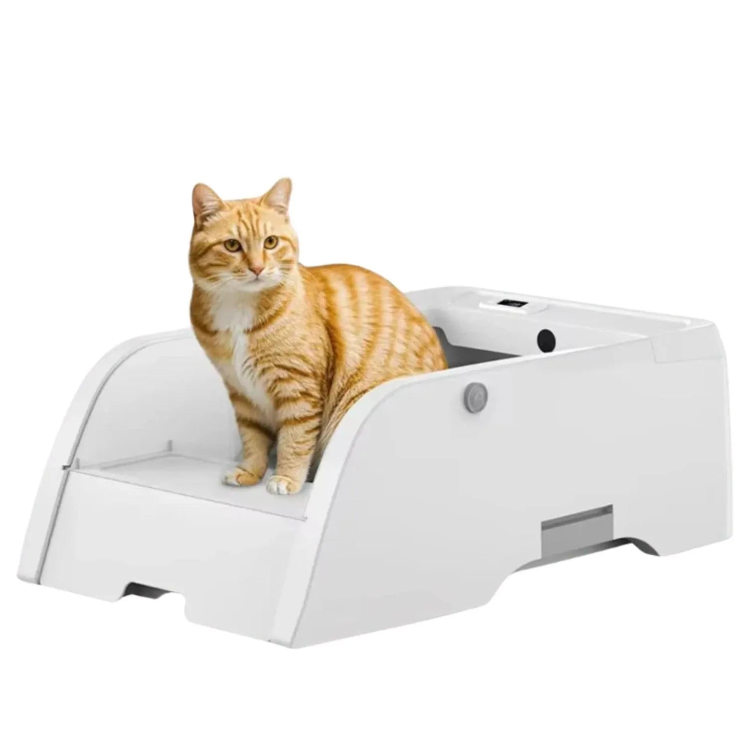 Huisdierreiniging | Intelligente reiniging voor katten